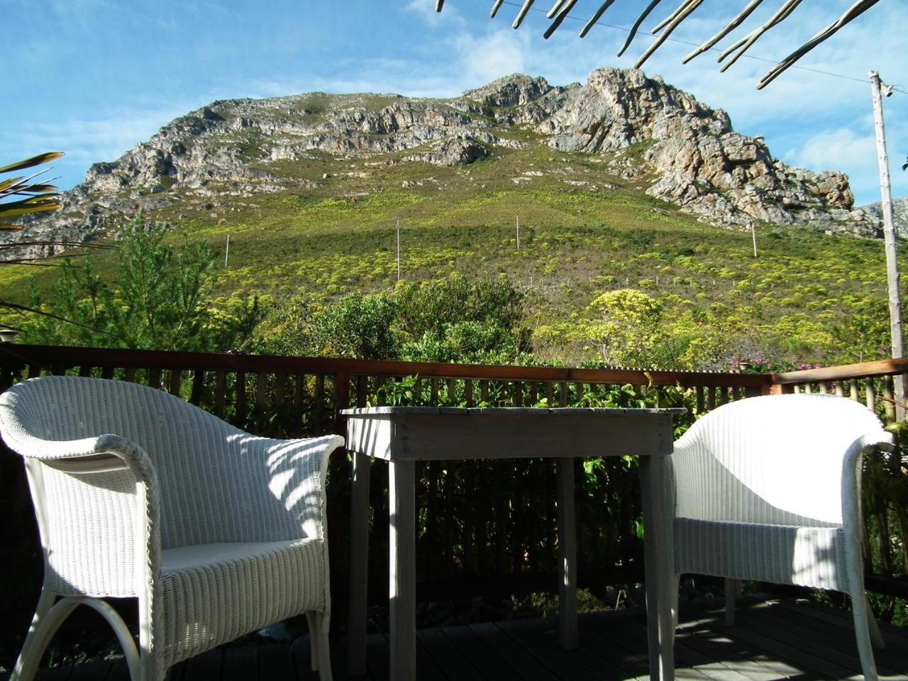 78On5Th In Hermanus Zewnętrze zdjęcie